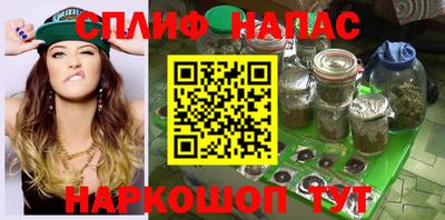 амф Берёзовский