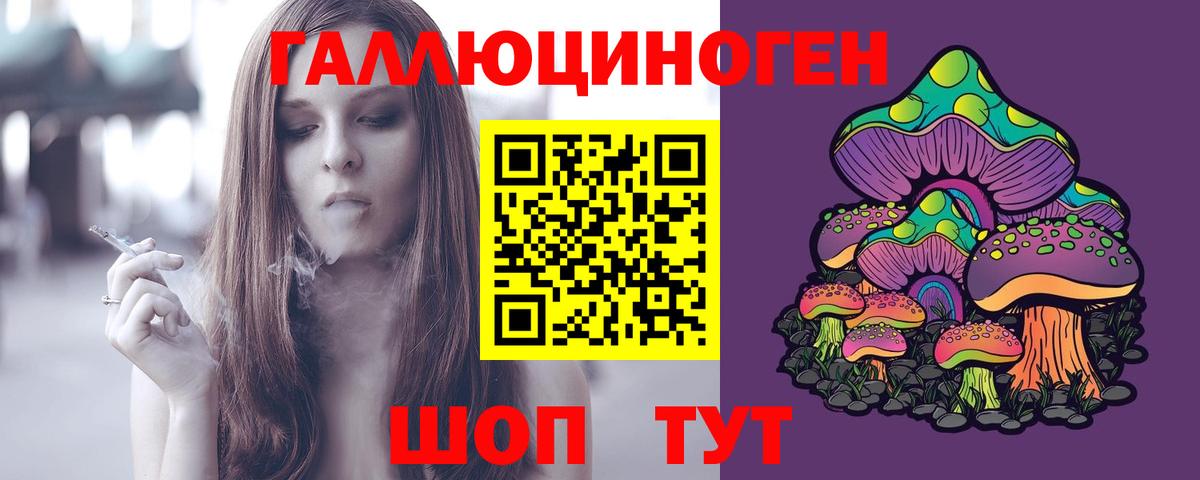 Галлюциногенные грибы Psilocybe Кимры
