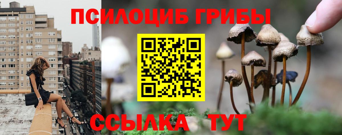 Кимры  Псилоцибиновые грибы Magic Shrooms  Вход с VPN  Псилоцибиновые грибы GOLDEN TEACHER 